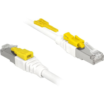 Delock Patch Cable S STP, RJ-45 mit Katze.6a sicher