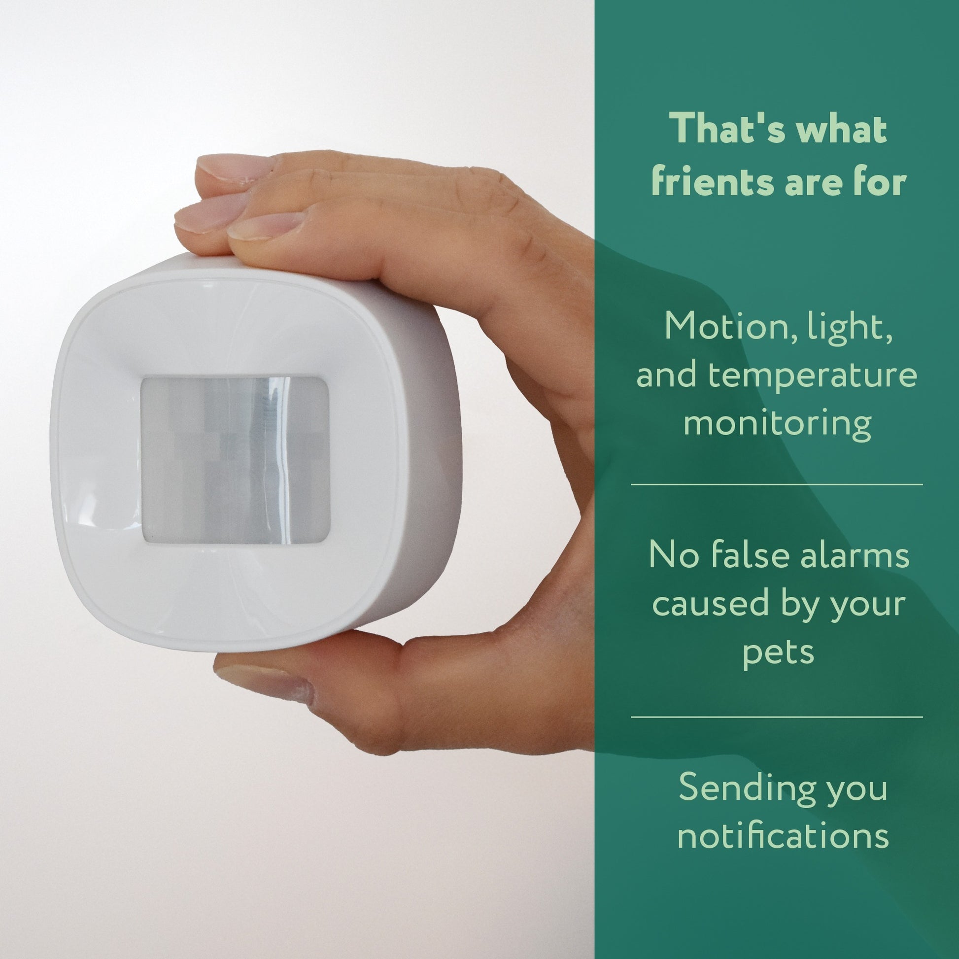 Frient Sensor 2 Haustier