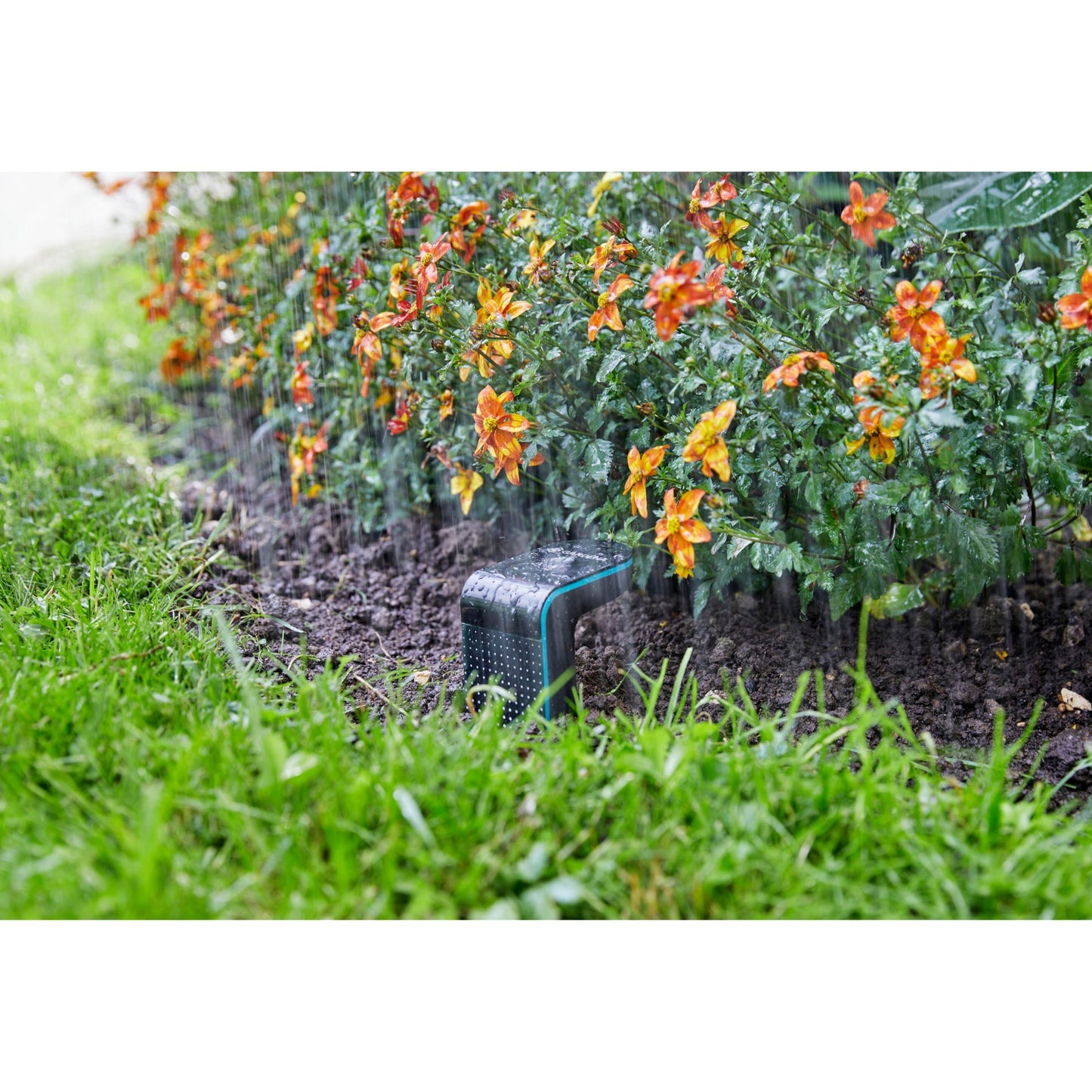 Gartensensor