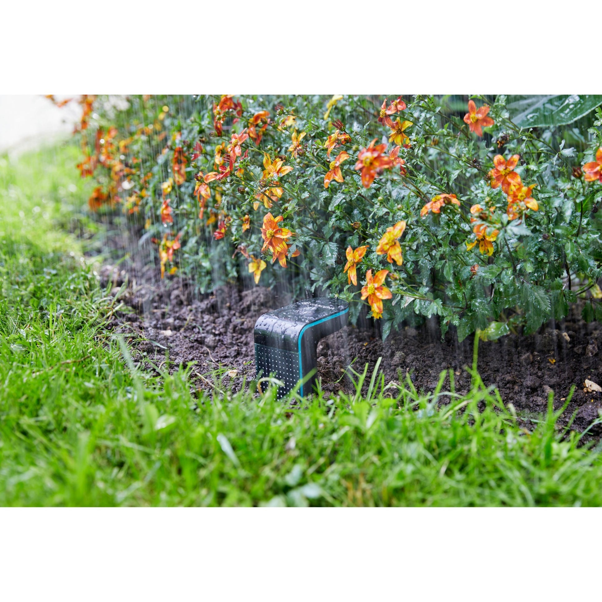 Gartensensor