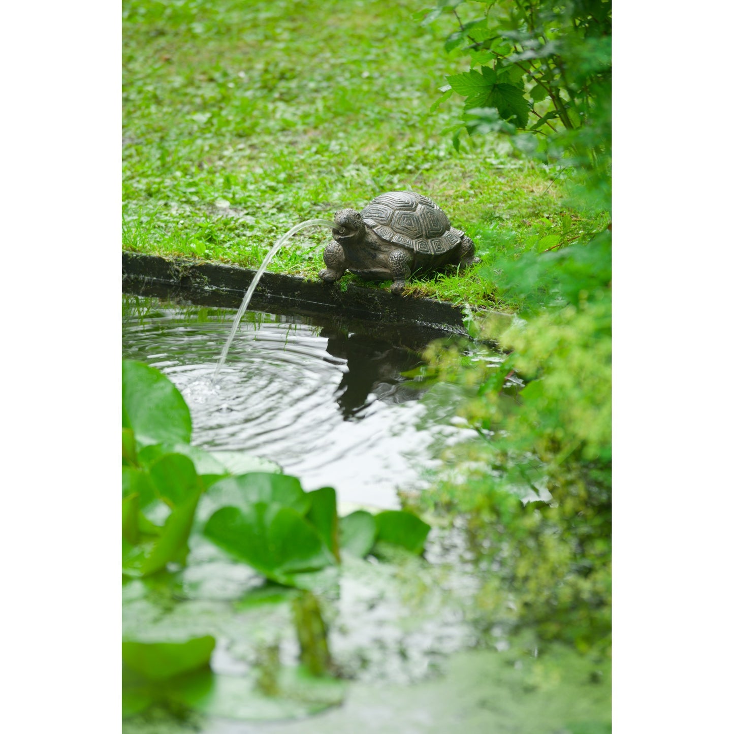 Ubbink Ubbink Spray Figur Turtle