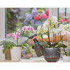 Gardena Plant Spray 1 l EasyPump