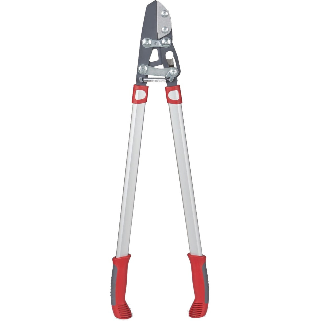 Wolf-Garten-Schnitt Rs 800 V