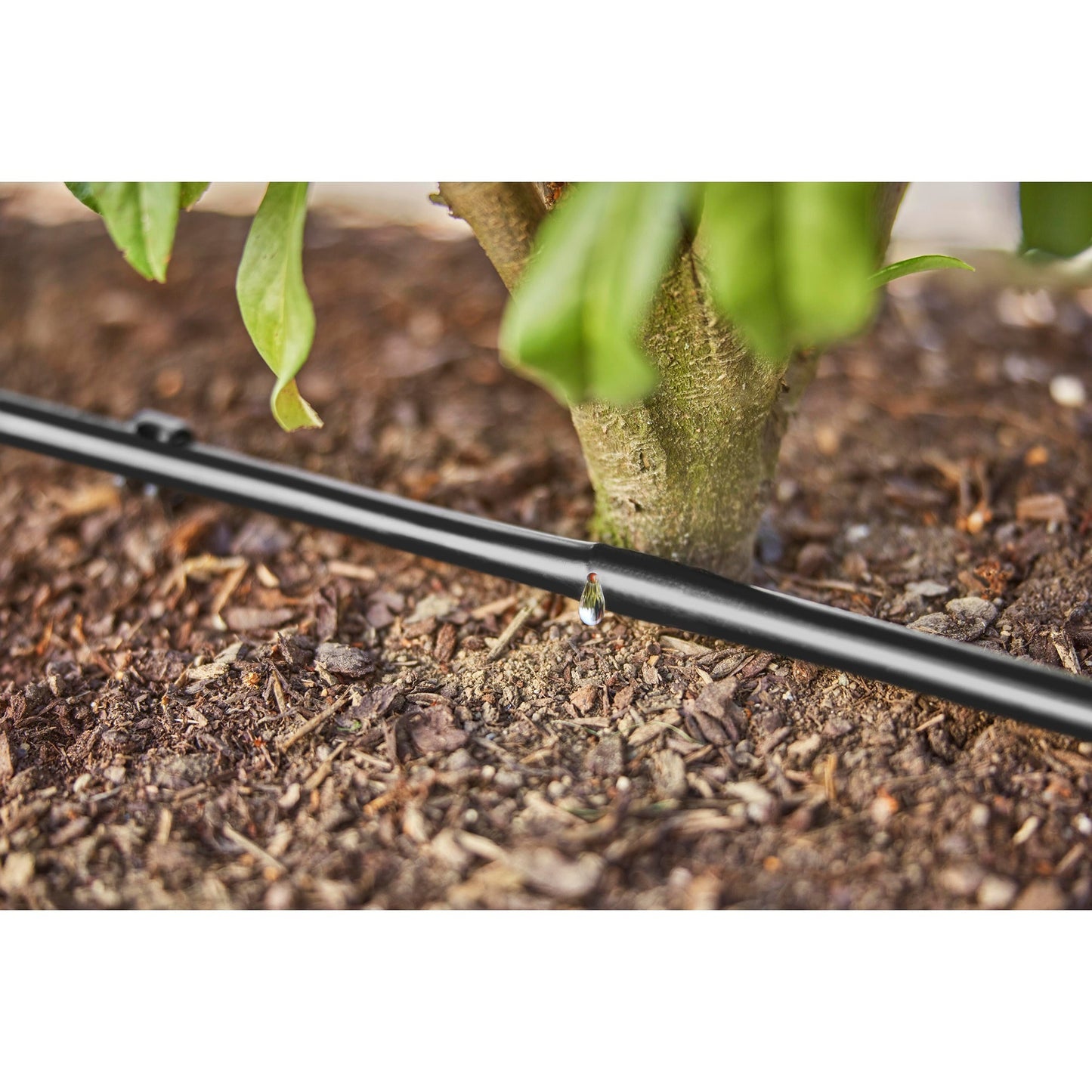 Gardena Micro-Drip-Entfernung Heggen-Peelings Set (50 m)