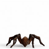 Schleich Harry Potter Aragog - afbeelding 4