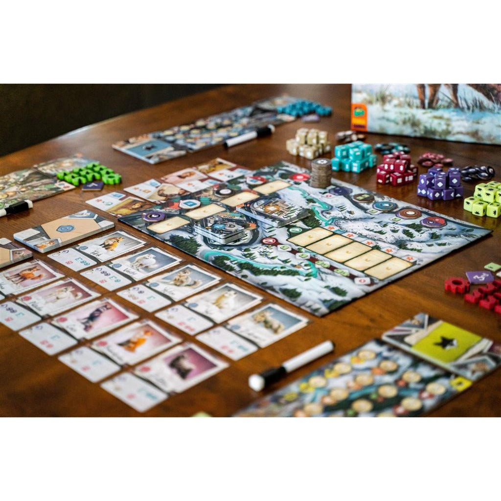 Europäisches Spielernetzwerk Das Fox -Experiment