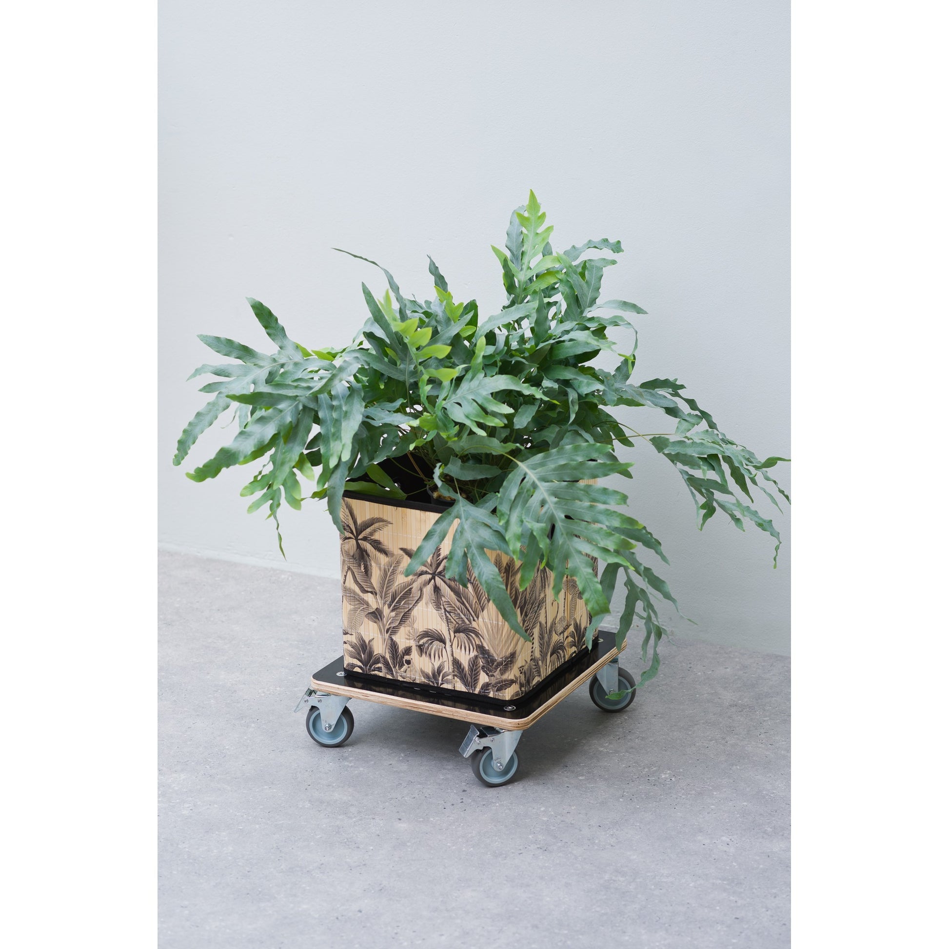 Natur Nature Planttrolley Square