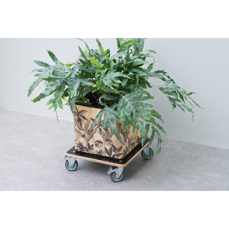 Natur Nature Planttrolley Square