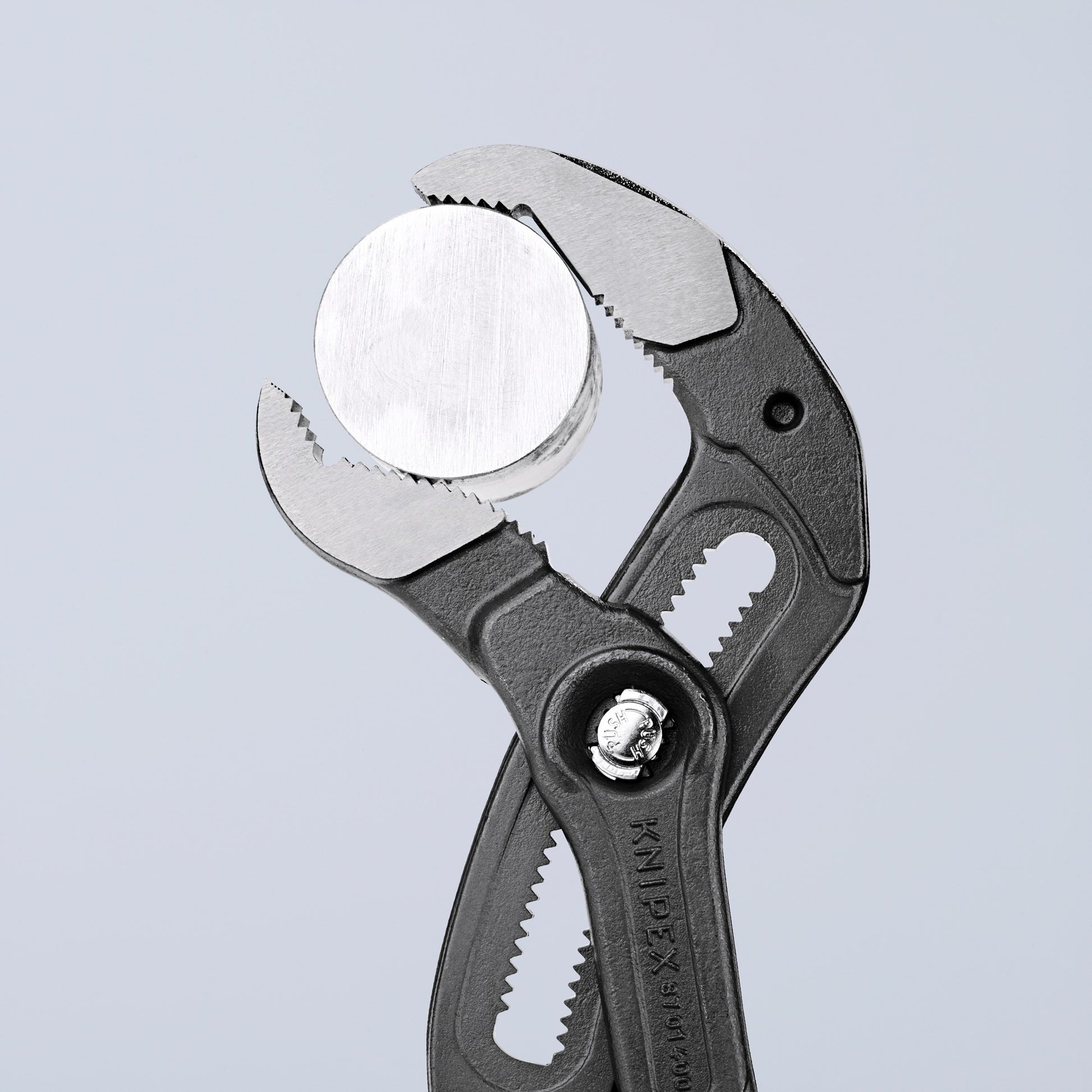 Knipex Cobra XL Water Pupptang 8701400