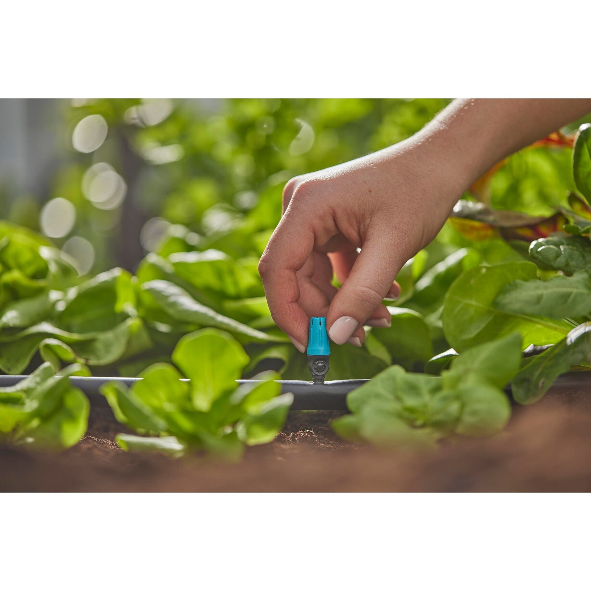 Gardena Sprayer für kleine Oberflächen