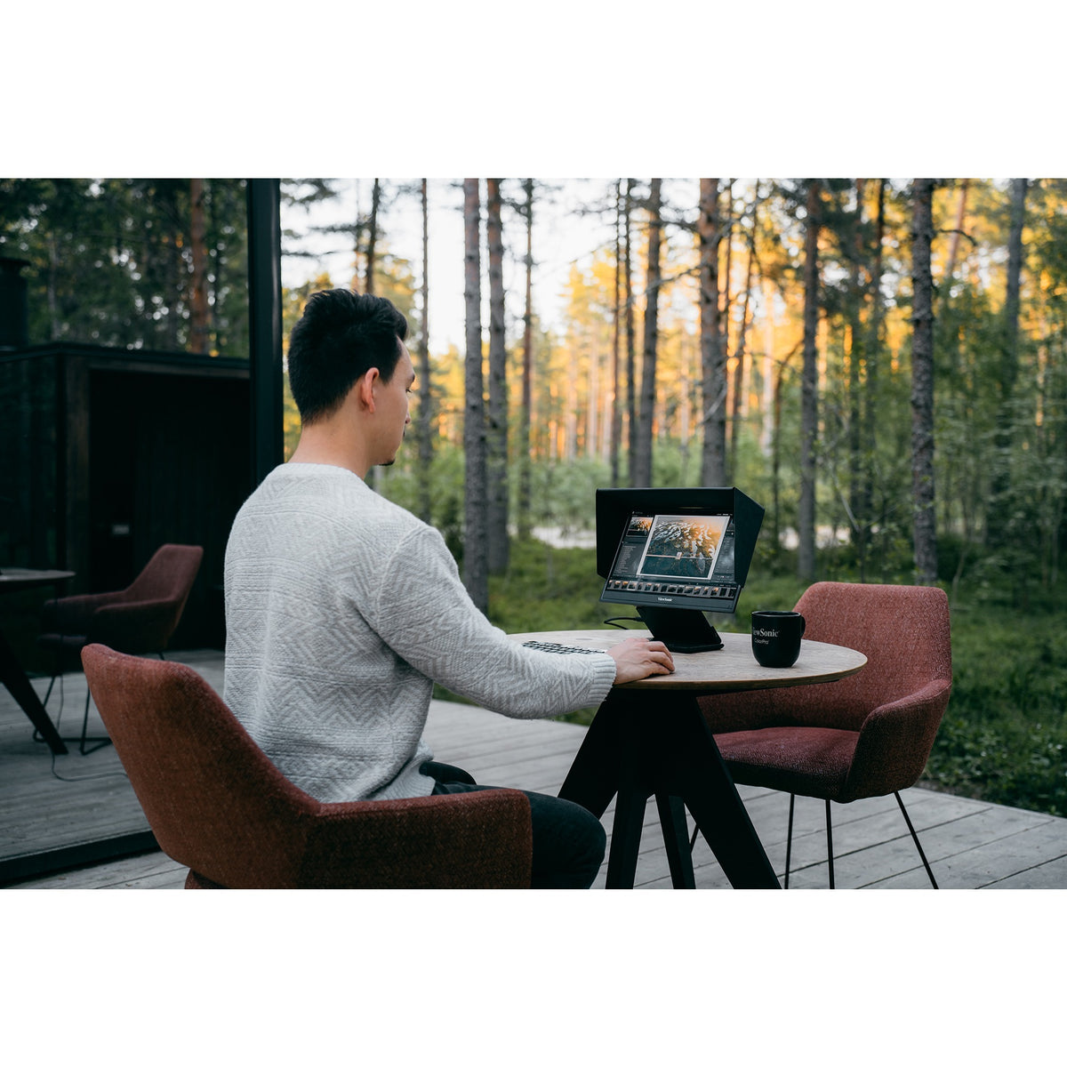Viewsonic vp16-oled 16 Monitor (Schwarz (matt), 1x Micro HDMI, USB-C, Sound)