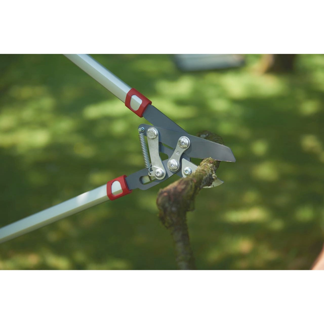 Wolf-Garten-Schnitt Rs 800 V