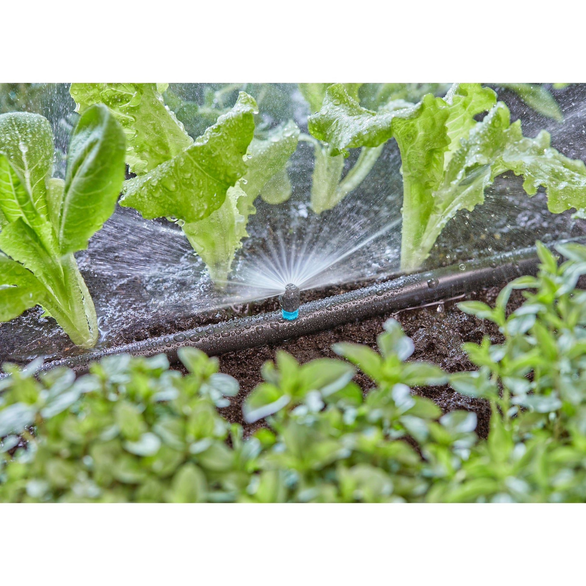 Gardena Sprayer 180 °