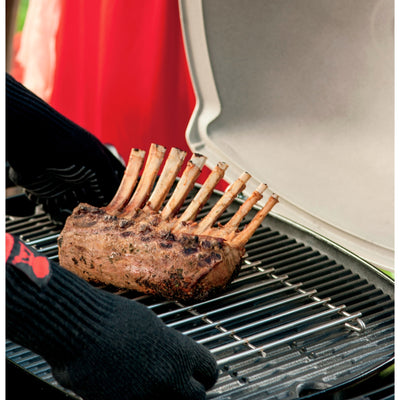 Weber Grill Rooster 200 2000 300 3000 Serie