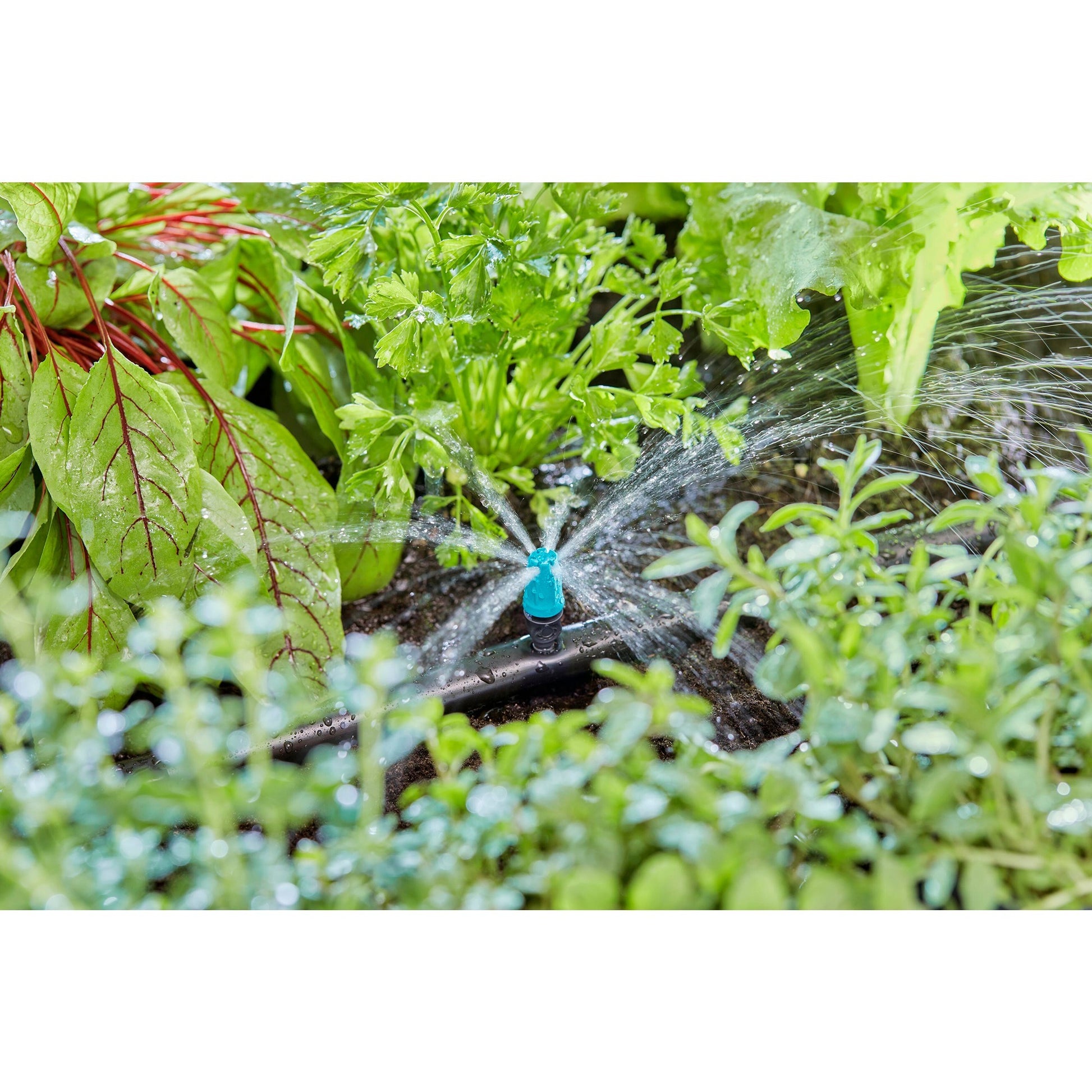 Gardena Sprayer für kleine Oberflächen