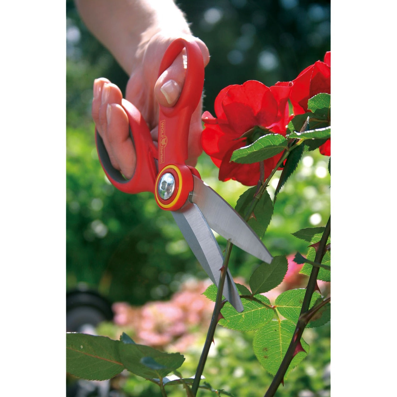 Wolf-Garten Ra-X Garden Scissors