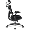 Sharkoon officepal c50 Stuhl (schwarz)