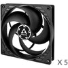 Arctic P14 Wertpaket 5