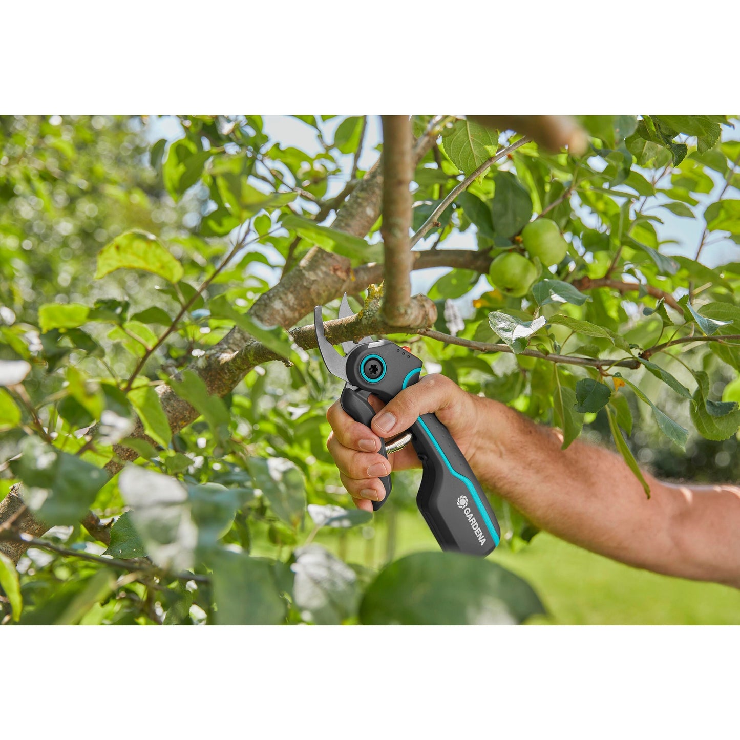 Gardena Paning Shears Assistcut