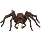 Schleich Harry Potter Aragog