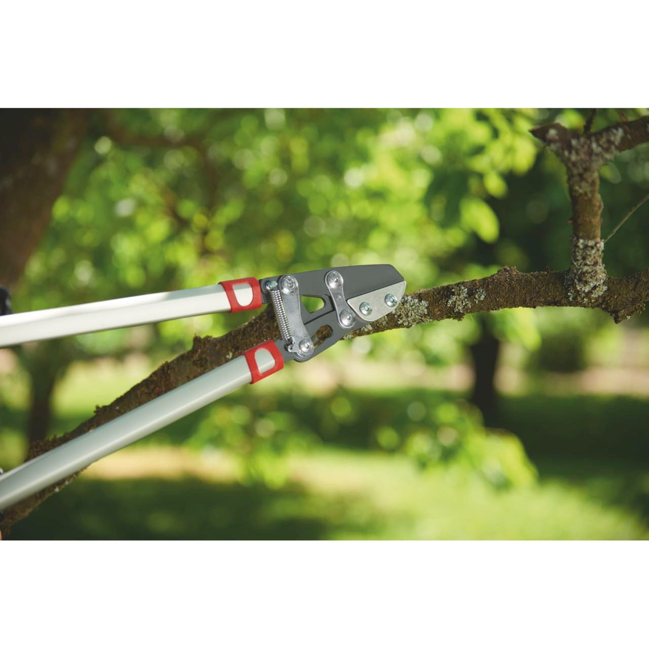Wolf-Garten-Schnitt Rs 800 V