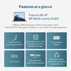 Asus ZenBook 14 OLED UX3405ca-QD012W 14 Laptop (Blau | Core Ultra 7 255h | Arc 140t | 32 GB | 1 TB SSD)