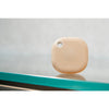 Shelly Blu Button Hart 1