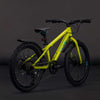 Cube Acid 200 Disc Fe Lizard'n'Blue