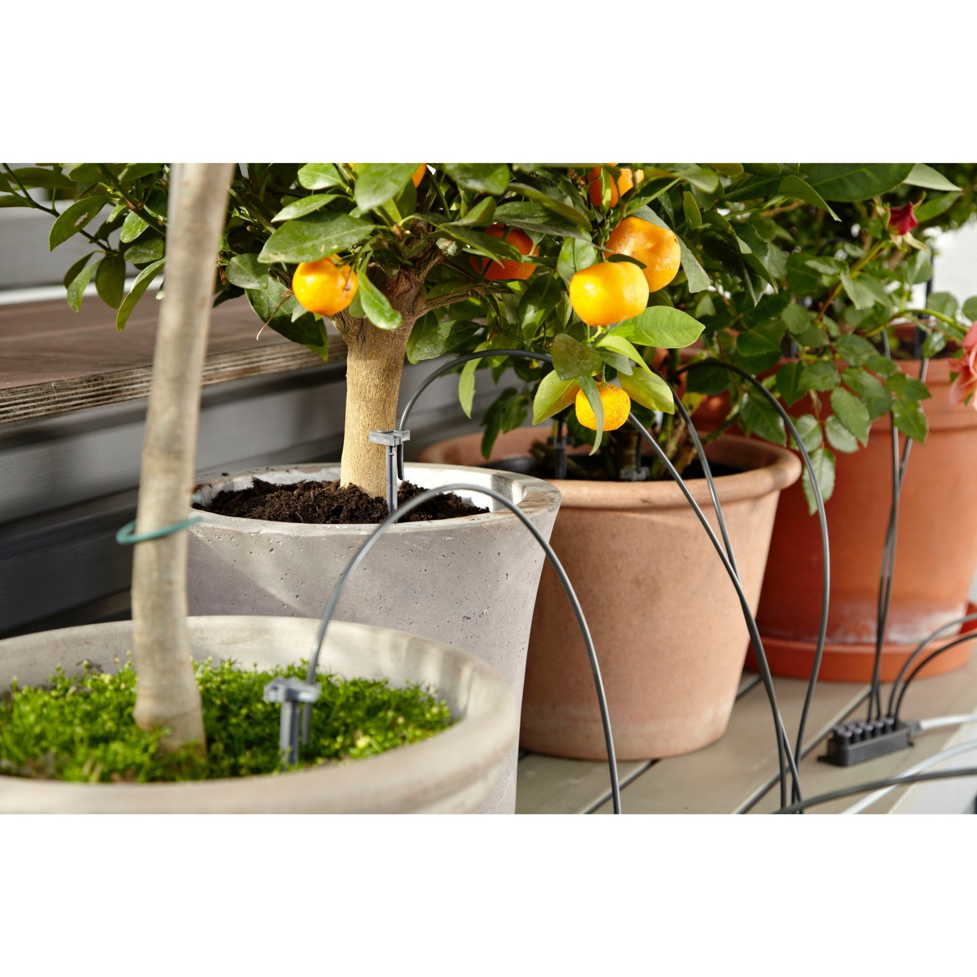 Gardena Holiday Set Set