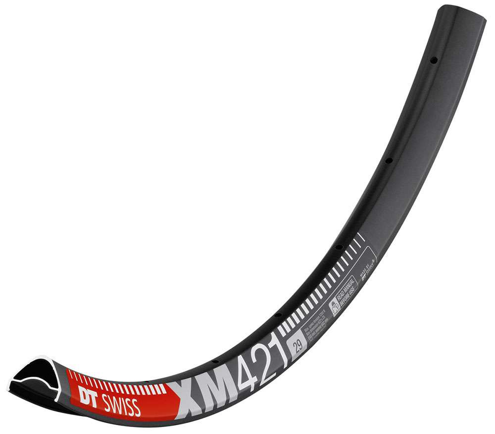 DT Swiss XM 421 Disc 29 Felge