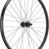 Newmen Forge 30 Strong Enduro 29 6-Loch 12x157 Fade Hinterrad