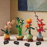 Lego Lego Botanicals 10343 Miniorchid - afbeelding 6