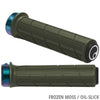 Ergon GD1 Evo Werksgriffe