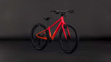 Cube numove 240 Disc Redrose'n'Peach - afbeelding 2