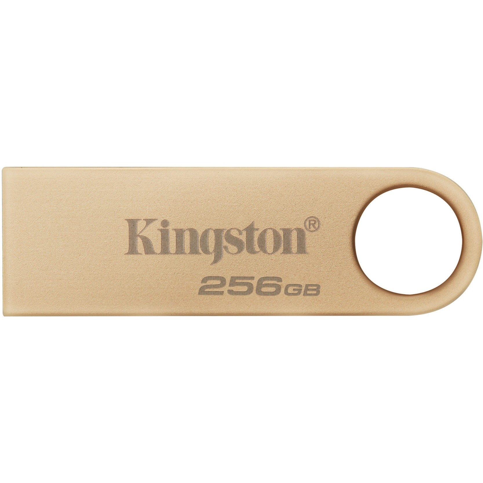 Kingston Datatraveler SE9 G3 256 GB