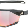 Alpina Twist Six siehe oben – Sportbrille