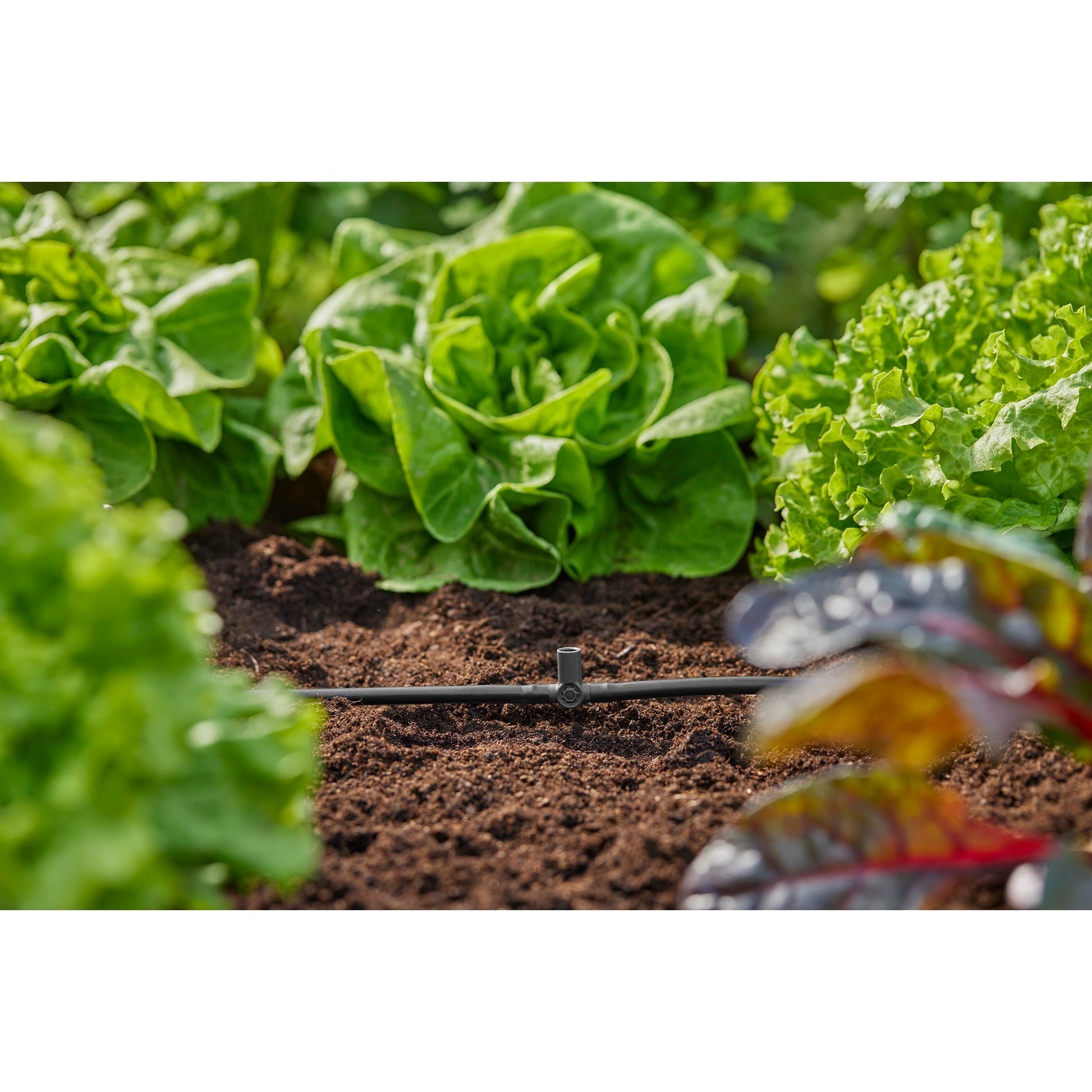 Gardena t-Stück für Sprühgeräte Final Droruppaarars 4,6 mm (3 16