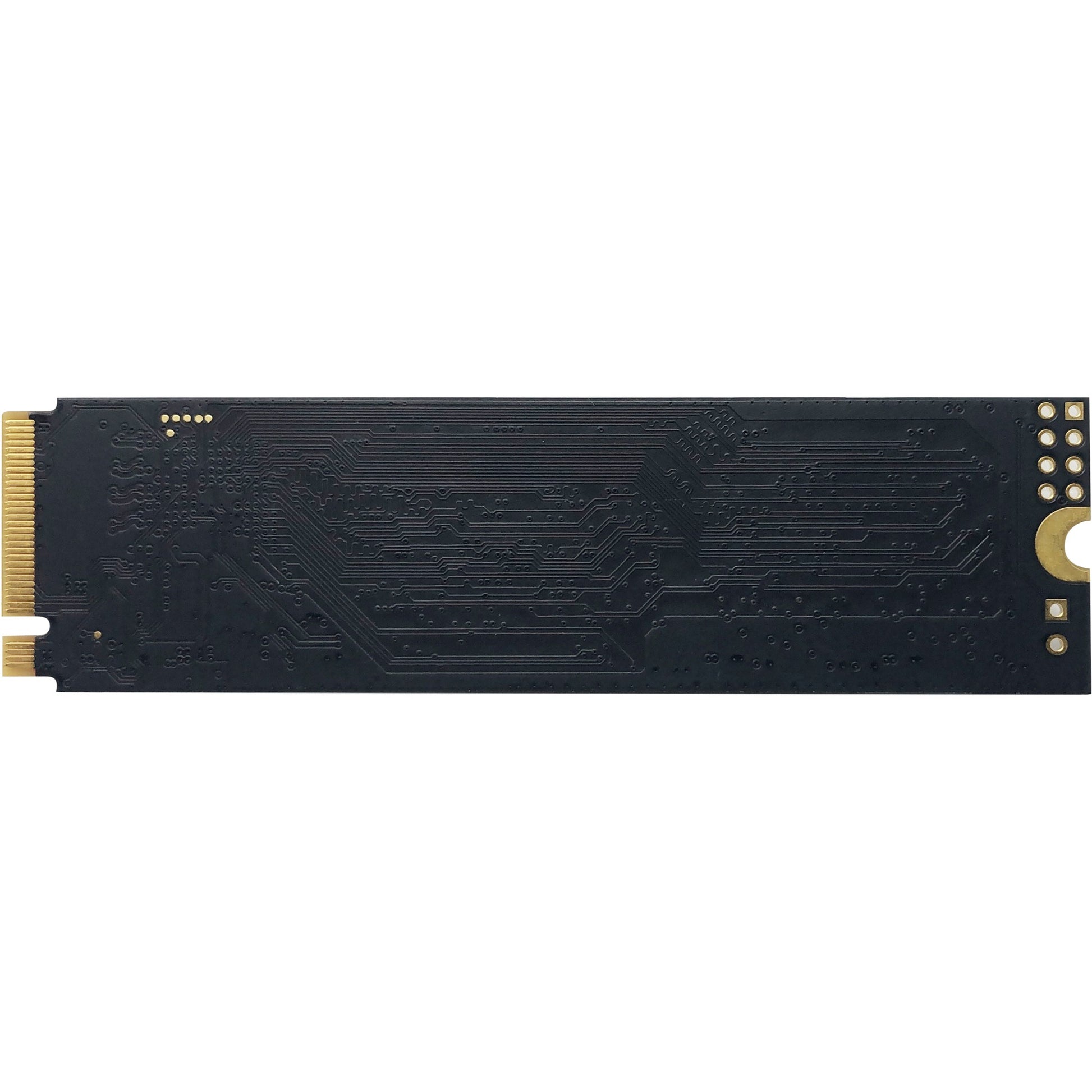 Patriot P300 256 GB