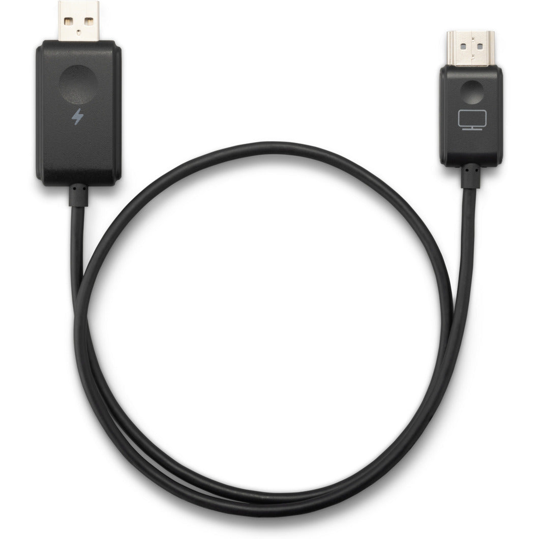 Viewsonic Viewshare WPD-900 Wireless Screen Cast Kit Streaming Client (Schwarz, USB-C)