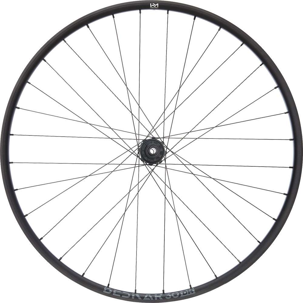 Newmen Beskar 30 Dh 29 6-Loch 12x148 Fade Hinterrad