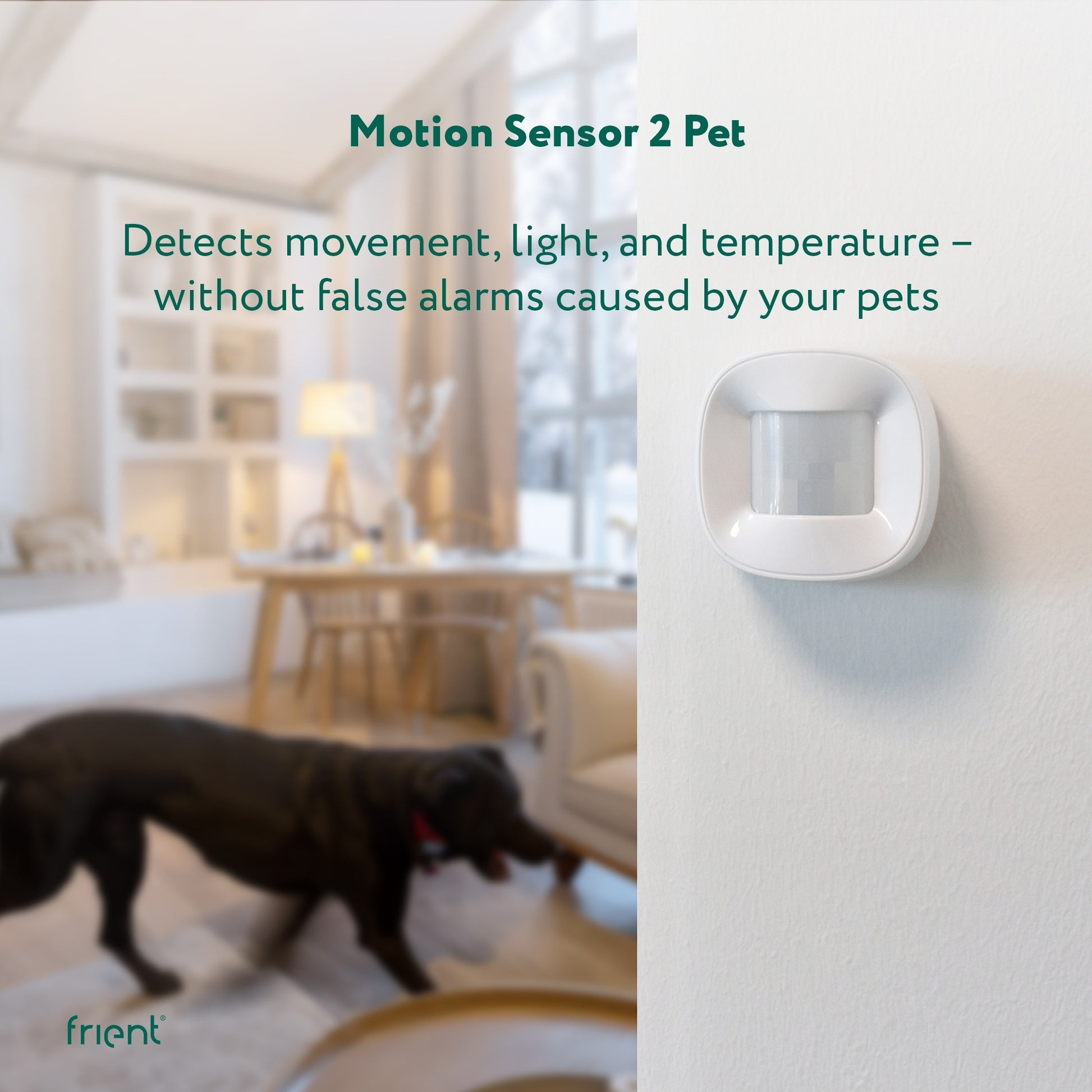 Frient Sensor 2 Haustier