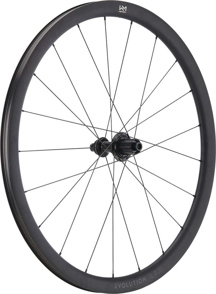 Newmen Evolution SL R.35 Fade R SJ CL 12x142 Hinterrad