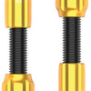 Lezyne CNC Tubeless-Ventile