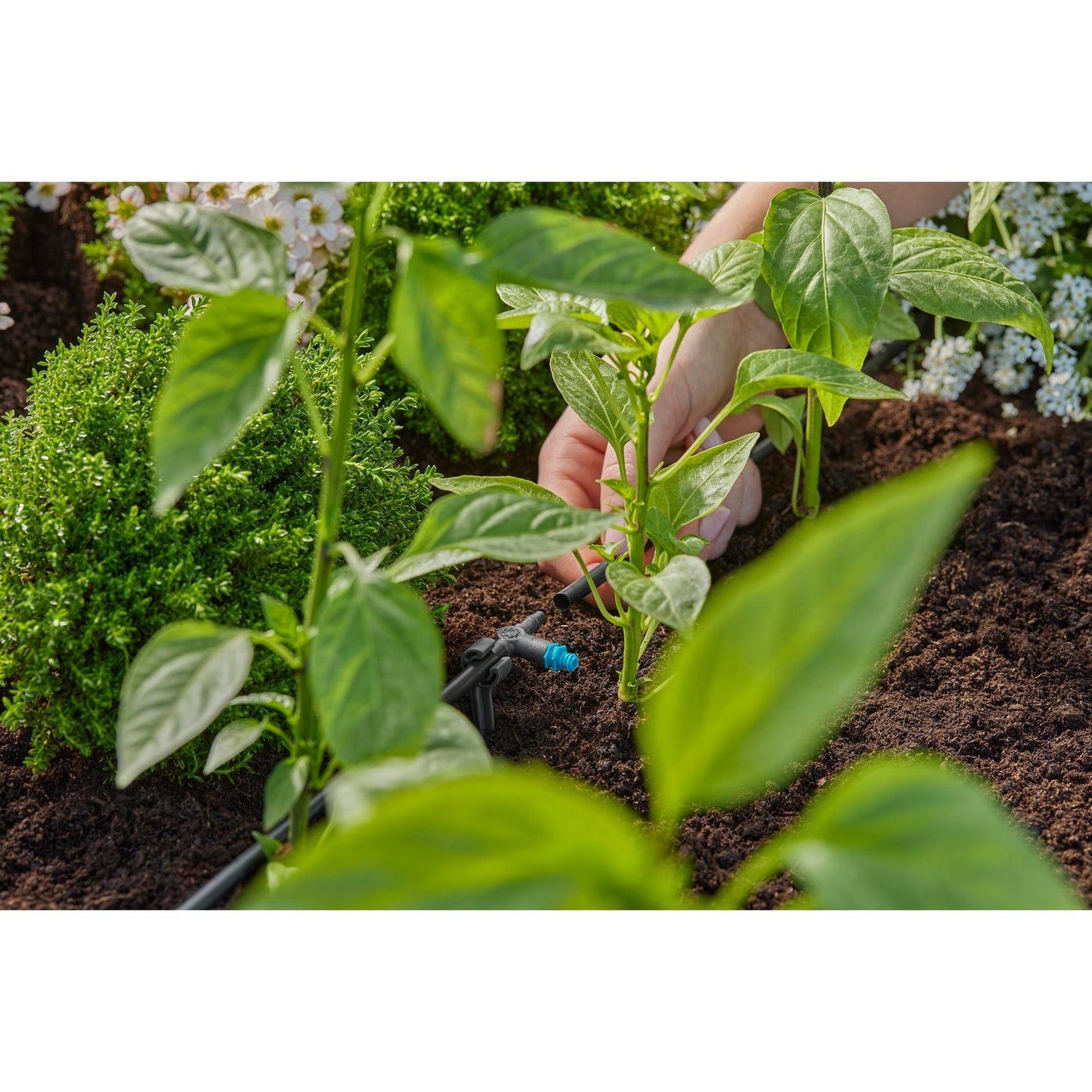 Gardena seriedDreppelaar 2 l u