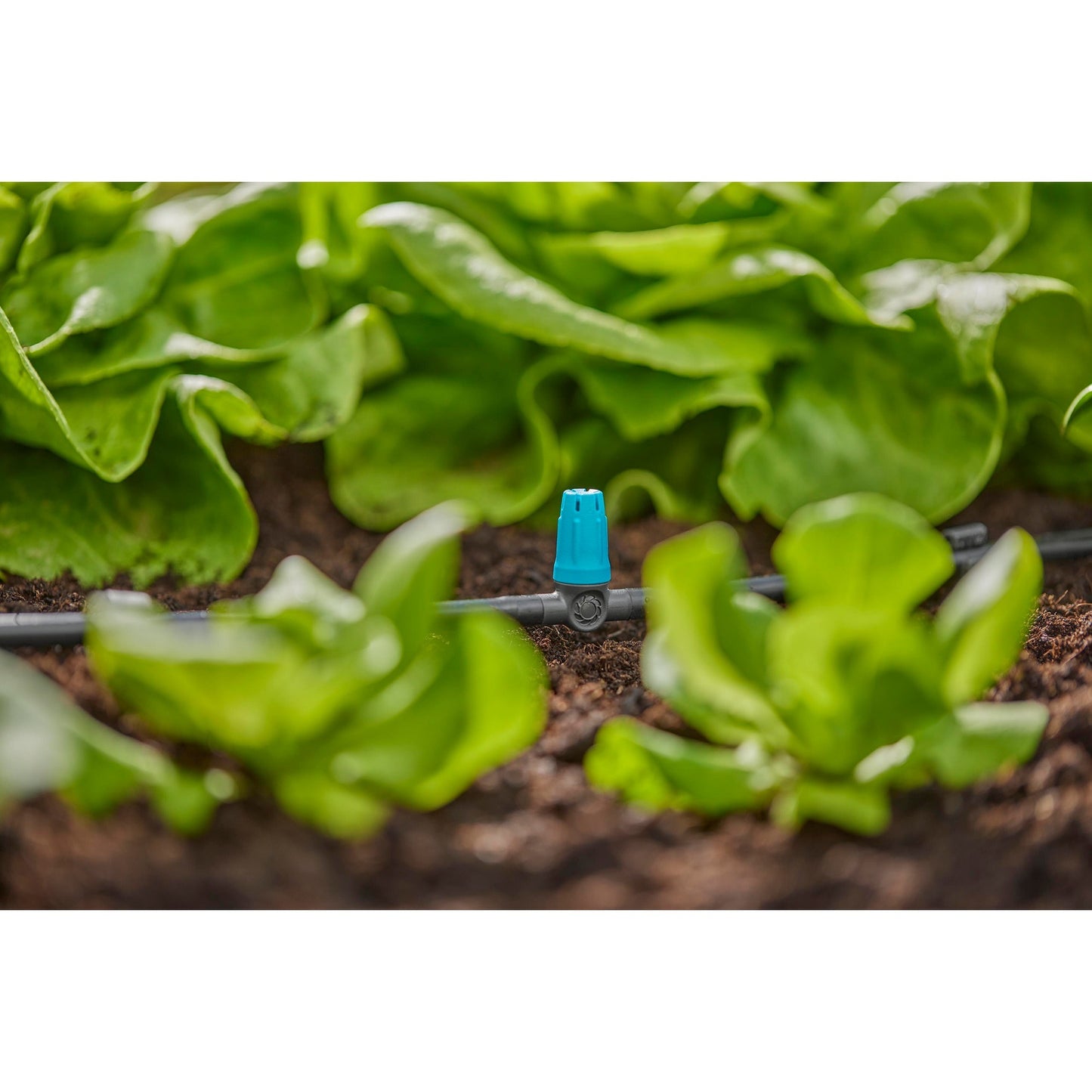 Gardena Sprayer für kleine Oberflächen