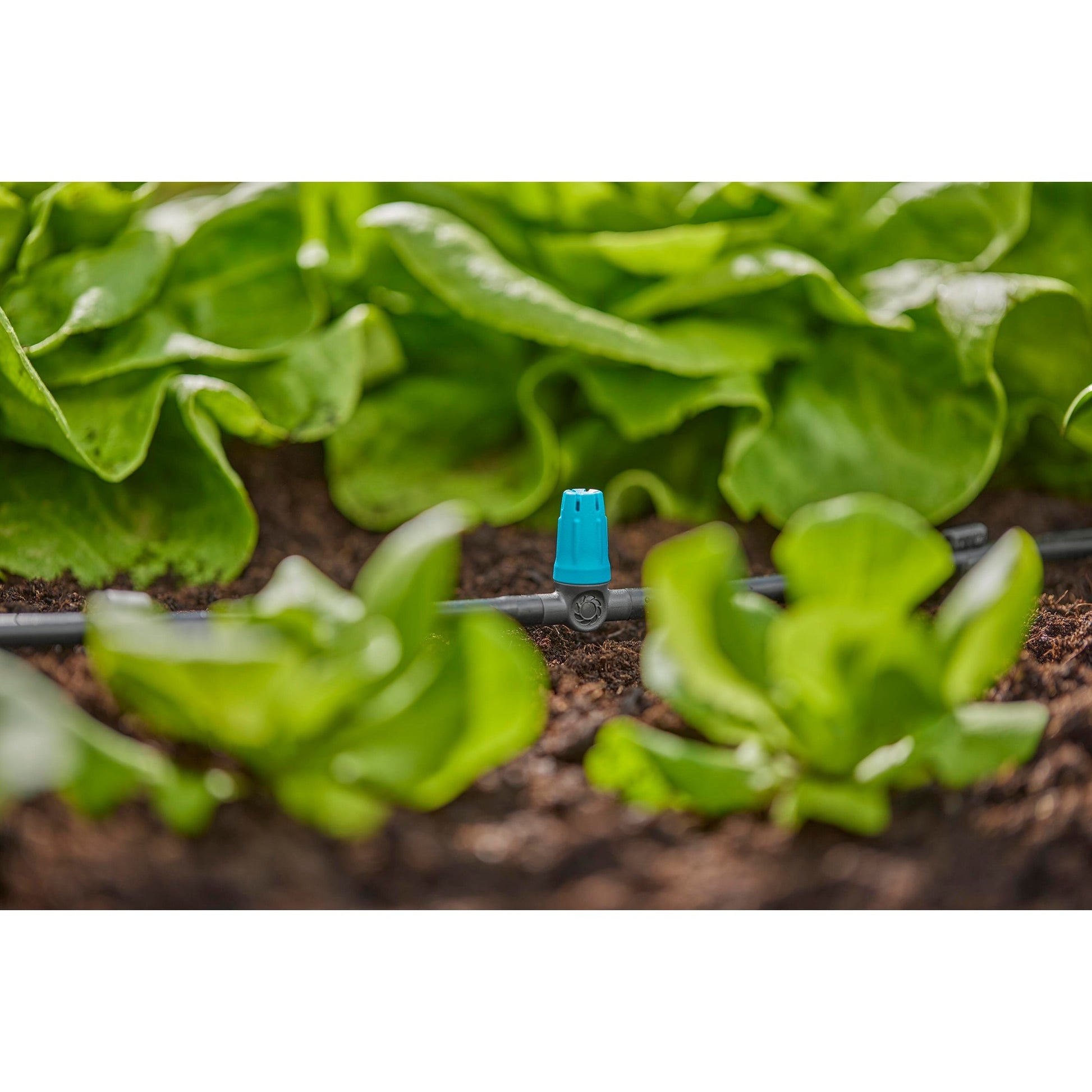 Gardena Sprayer für kleine Oberflächen