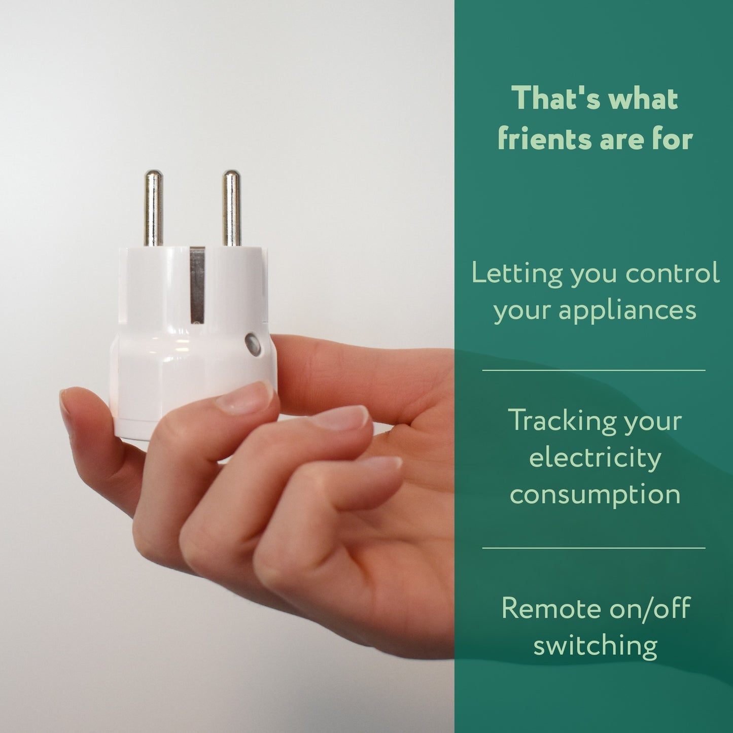Frient Plug Mini 2 Typ E (Französisch)