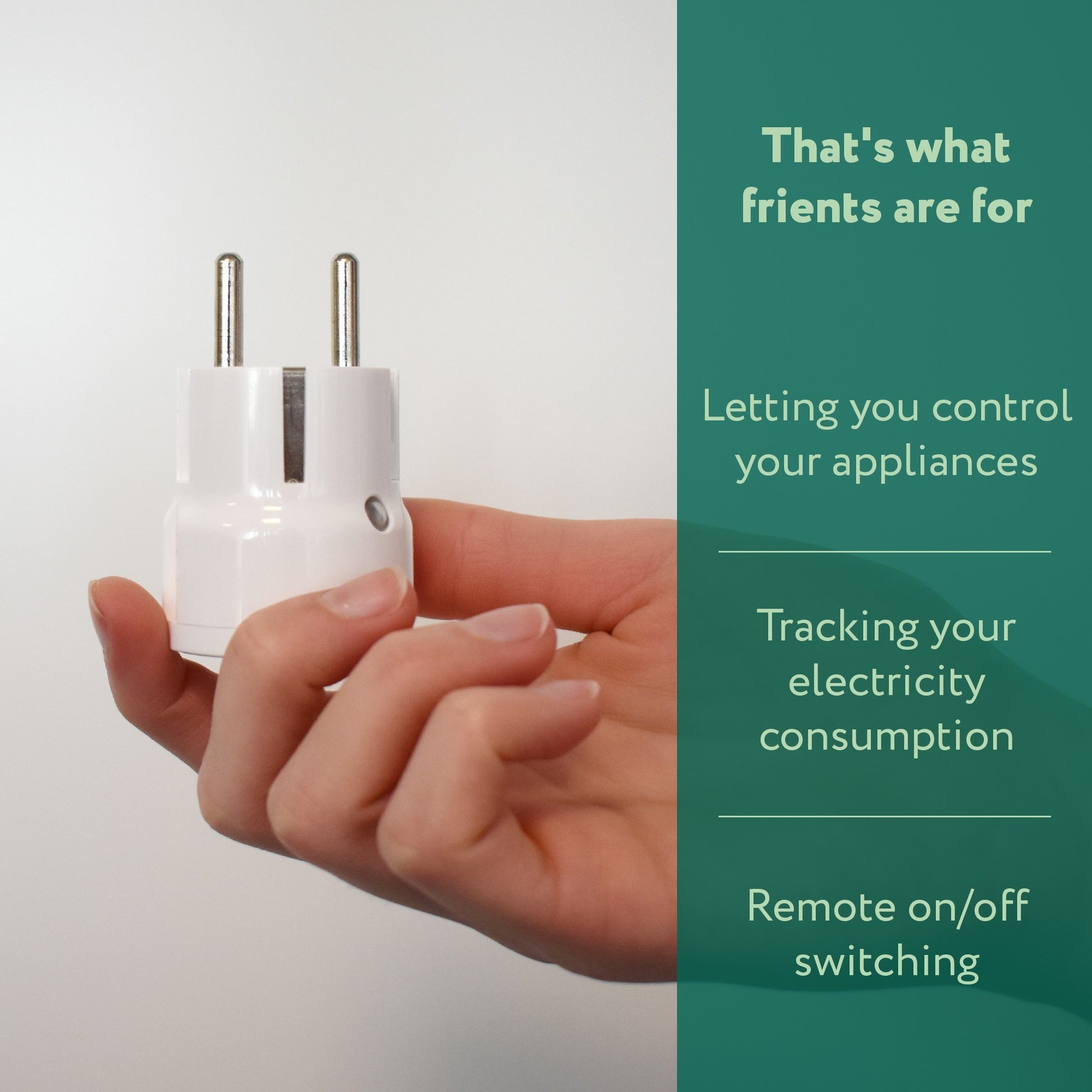Frient Plug Mini 2 Typ E (Französisch)