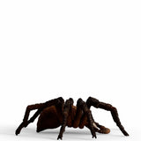 Schleich Harry Potter Aragog - afbeelding 3