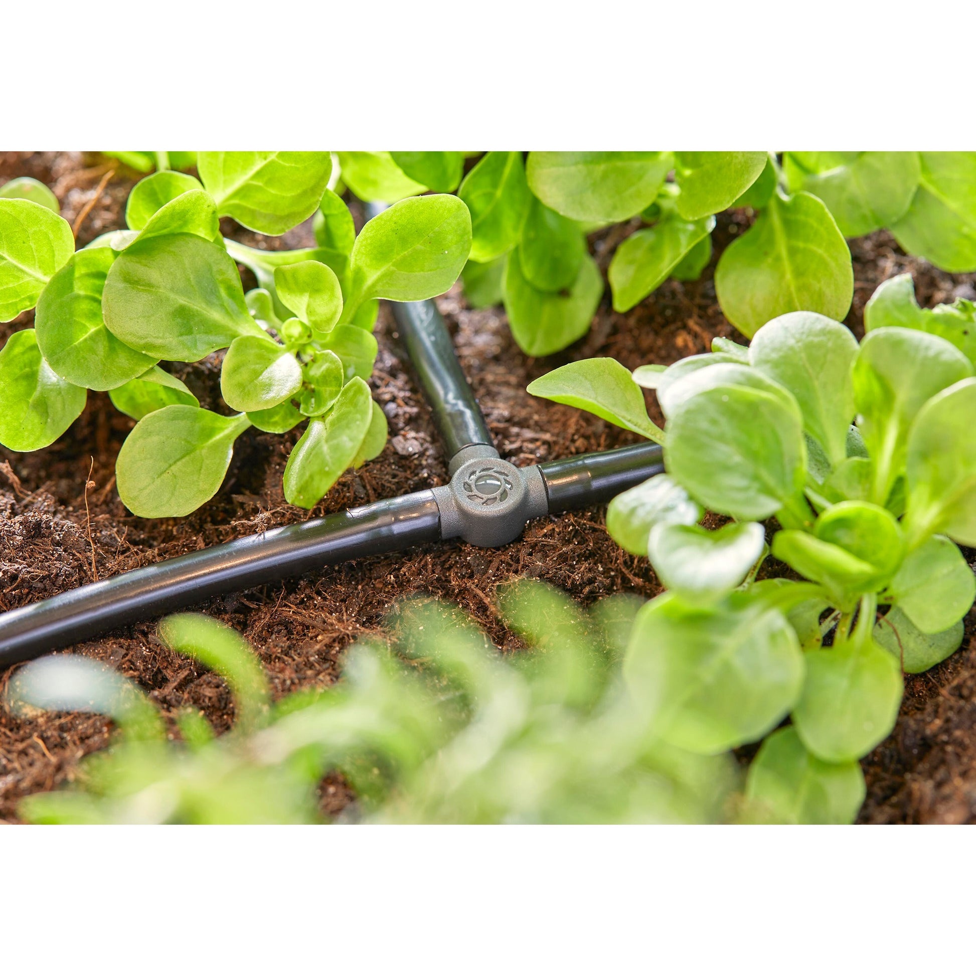 Gardena T-Stück 4,6 mm (3 16)
